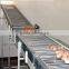 Full Automatic Egg Collector for Chicken Farm