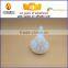 Artificial foam life size animal model for decoration