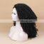 Black Curly Intense Wig Heat Resistant Wig Kinky Curly Lace Front Synthetic Wig