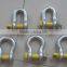 Screw Pin Anchor Shackle