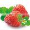 Digital control strawberry jam filling machine
