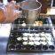 Stainless Steel Commercial Use Poffertje Batter Dispenser