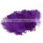 10-20cm Real Natural White Home Decor Ostrich Feathers Party Wedding Decorations Pack Of 50