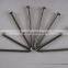Steel wire nails manufacture in china/common wire nails