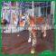 Shopping mall children playground games musical carousel horses