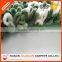 Fanny Loop Pile Polyester Chenille Bath Mat