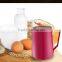 600ml Stainless Steel Japanese Latte Art Milk Frothing Pitcher Milk Tea Drinking Cup Vacuum Travel Mug