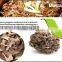 Best selling organic Dried Maitake Mushroom