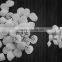 PE10 Biological Active filter media with 52 cells