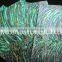 Flexible New Zealand Abalone Puau Shell Laminate Paper For Guitar Inlay