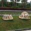Fiberglass conch sculpture