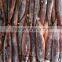FROZEN ILLEX SQUID
