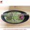 Artificial mini plant potted succulent combination mini succulent