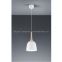 Hanging Pendant lamps celling lighting metal and wood shade E26 painting