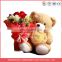 Custom plush teddy bear bouquet toy
