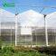 Multispan Tunnel Polycarbonate Panel Greenhouse for Agriculture
