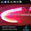 Ультраяркий светодиодный ленточный свет RGB+CCT 5050 с шириной печатной платы 16 мм