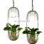 Modern creative glass plant hydroponics led pendant light for decorate