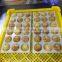 OEM packing frozen roasted octopus ball popular takoyaki