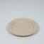 Disposable biodegradable plate