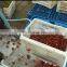 stainless steel cherry stemmer machine
