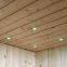 2-3 person hemlock Saunaking w glass door far infrared sauna cabin