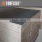 Melamine paper faced chipboard /Particle board