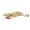 Inventory sell bait for octopus fishing bait for octopus fishing