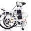 Cheap 250W Electric Bicycle, Steel Frame Electric Bike at High Quality