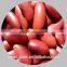 cheap dark red kidney bean