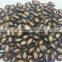 Purple Watermelon Seeds Price