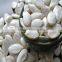 Snow White Pumpkin Seeds,All Kinds Pumpkin Seeds For Sale