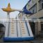 top quality inflatable dolphin slide/ slip
