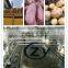 China advanced automatic potato starch machinery & Centrifugal sieves