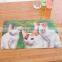 2016 Hot sale OEM 3d table mat Customizable cute puppy home friends PP placemat coaster pattern