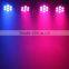2015 hot sale product in Europe 80W 28*Tri-3W RGB laser light show equipment for sale light for disco