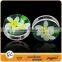 TP01417 Stainless steel sunflower ear plug piercing body piercing jewelry