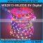 DC 5V Dream Color LED Strip WS2811 WS2812B WS2813 5050SMD programmable RGB LED Strip