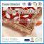 015 New Pattern Wholesale 100%Polyester Microfiber Coral Fleece Travel Blanket