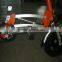 MINI Folding Electric bike