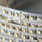 10mm width SMD 5050 white + warm white CCT changing LED flexible strip