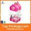 Fancy Folding Packaging Small Clear Hard Plastic Box with Lock