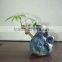 mini ornamental plants indoor chinese pot decorative pachira house plant bonsai