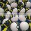 Hot Selling Pokemon Ball for Educational Toys