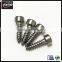 Stainless Steel Hex Socket Cap Head Self Tapping Screw