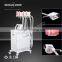 Fat Melting Cryotherapy Cryolipolysis Beauty Double Chin Removal Slimming Machine For Sale