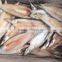 Frozen Lady Fish/Silago Shima/Silver Fish