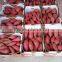 High Quality Fresh Sweet Potato