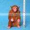 heze craft supplies promotion gift toy plastic monkey