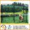 Outdoor Powder Coated Dog Kennel Large Dog Cages for Sale
